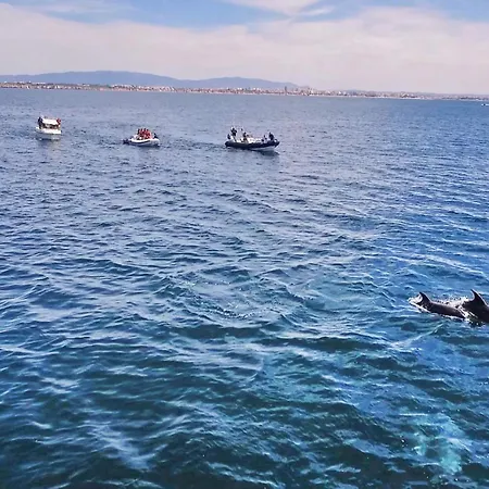 Appartamento Ipanema 3 By Algarve Vacation Albufeira