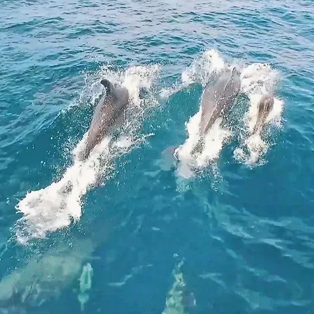 Ipanema 3 By Algarve Vacation * Албуфейра